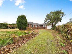 Photo 10- click for photo gallery